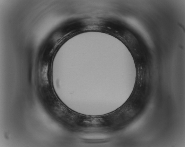 X0000102031150200807181344