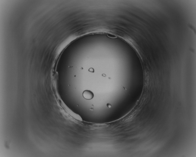 X0000102031151200807181344