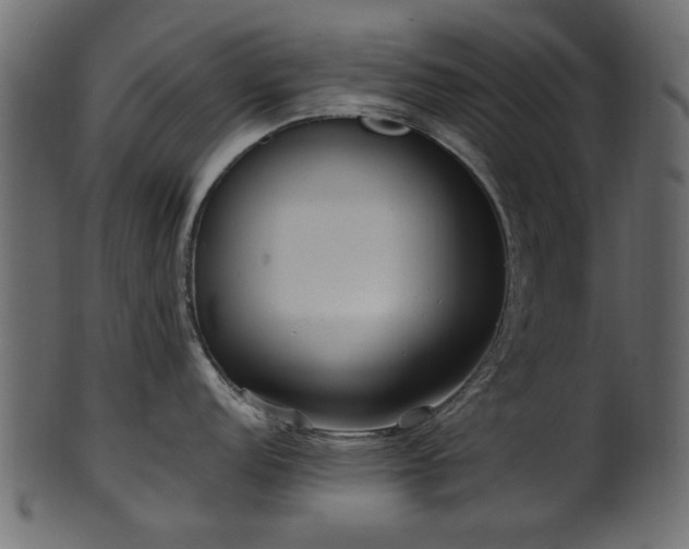 X0000102031152200807181344