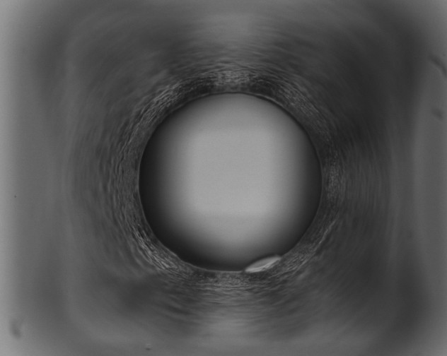 X0000102031153200807181343