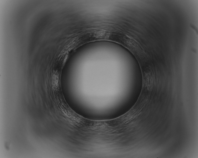 X0000102031154200807181343