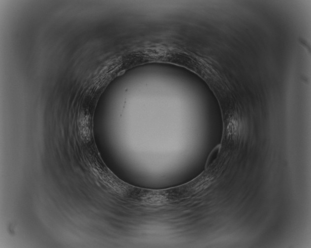 X0000102031156200807181343