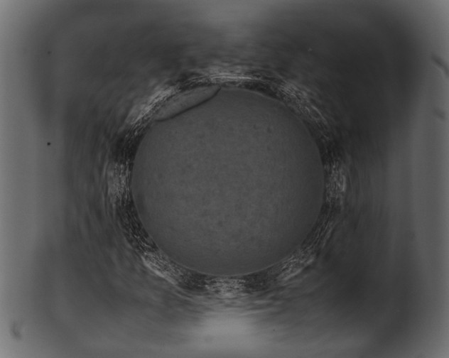 X0000102031157200807181343