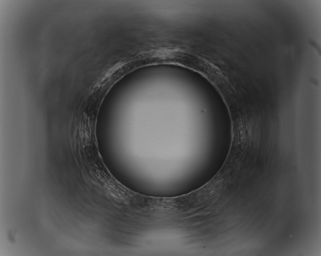 X0000102031158200807181343