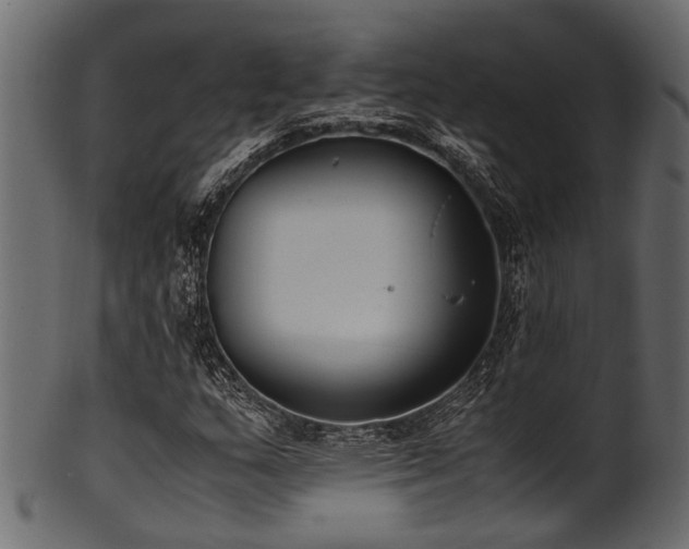 X0000102031159200807181343