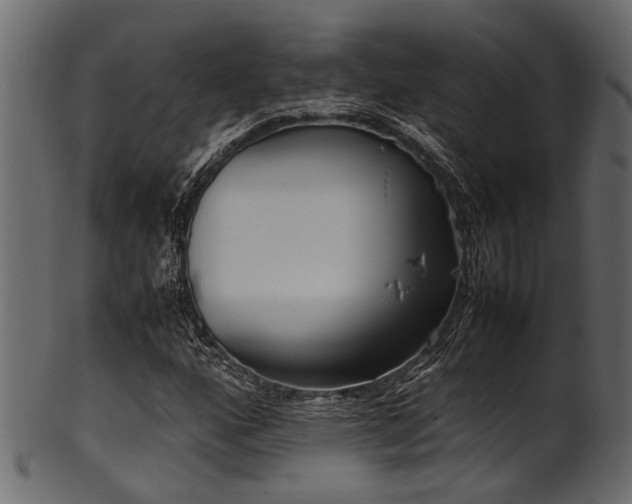 X0000102031160200807181343