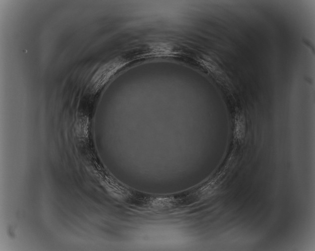 X0000102031161200807181343