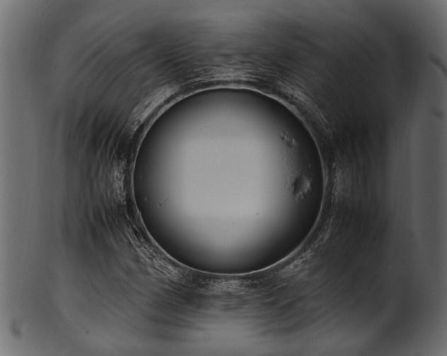 X0000102031162200807181343