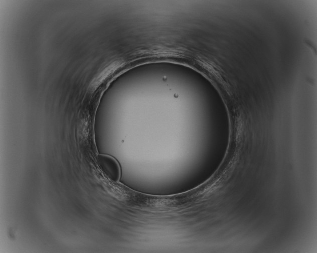 X0000102031163200807181343