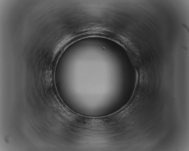 X0000102031164200807181343