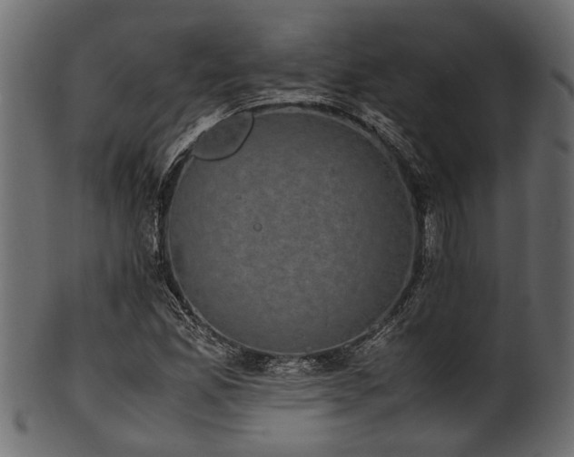 X0000102031165200807181343