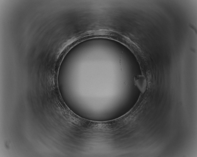 X0000102031166200807181343