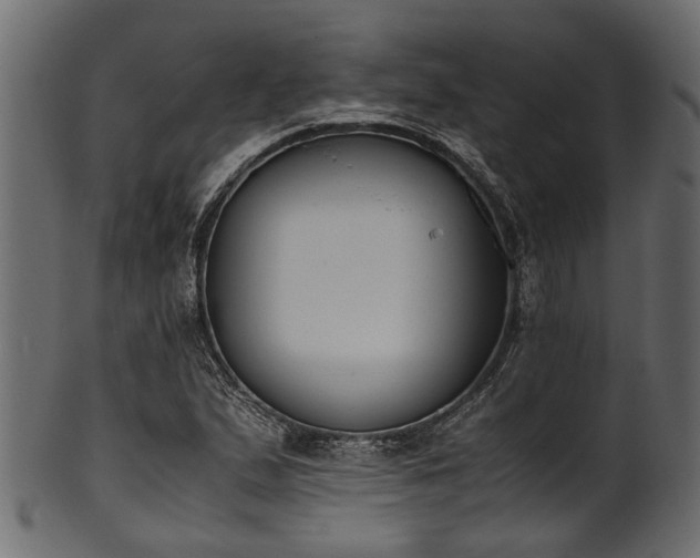 X0000102031167200807181343