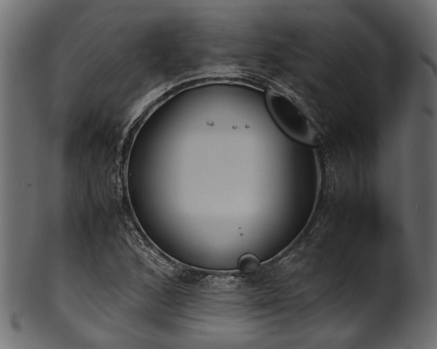 X0000102031168200807181343