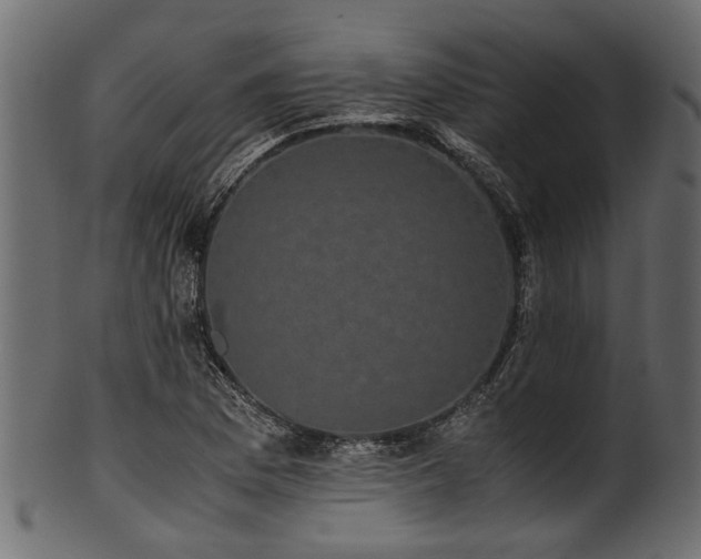 X0000102031169200807181343