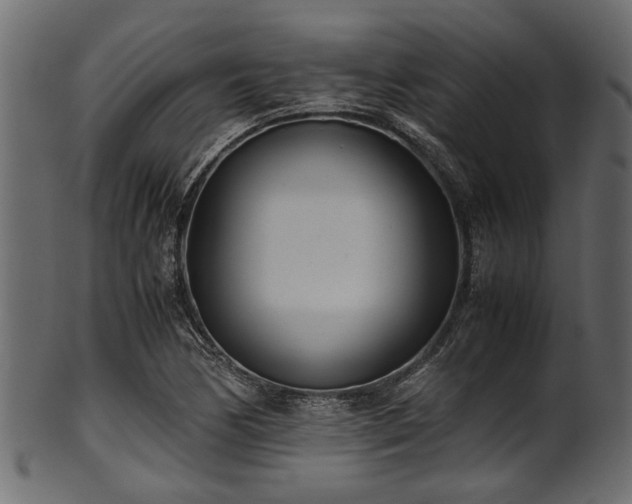 X0000102031170200807181343