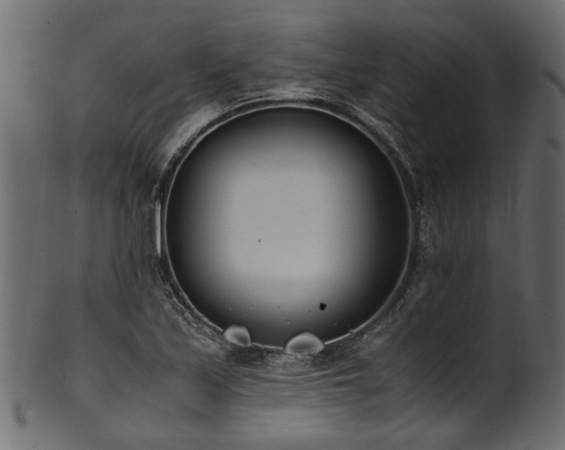 X0000102031171200807181343