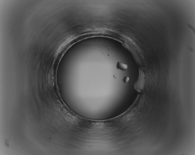 X0000102031172200807181343