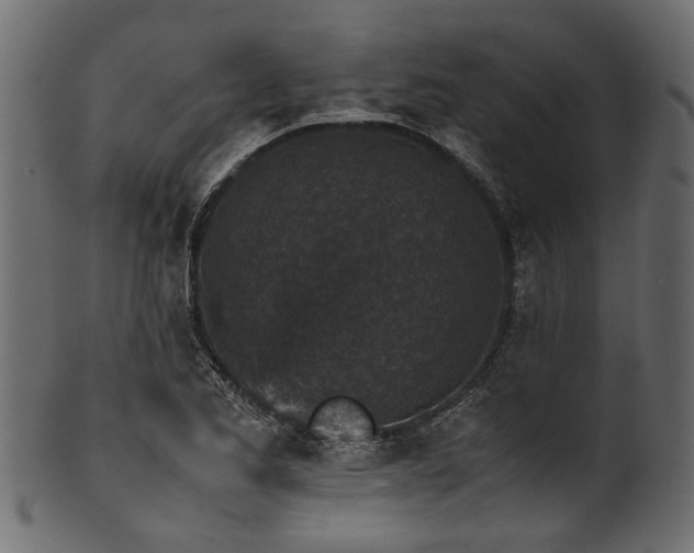 X0000102031173200807181343