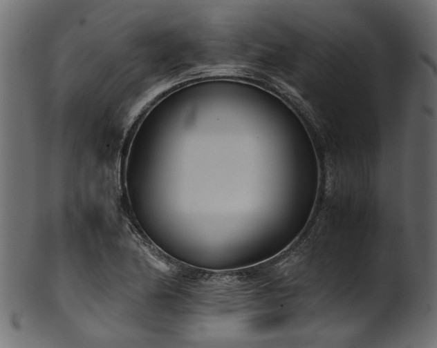 X0000102031174200807181343