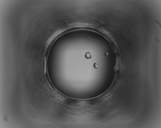 X0000102031175200807181343