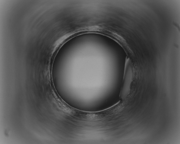 X0000102031176200807181343