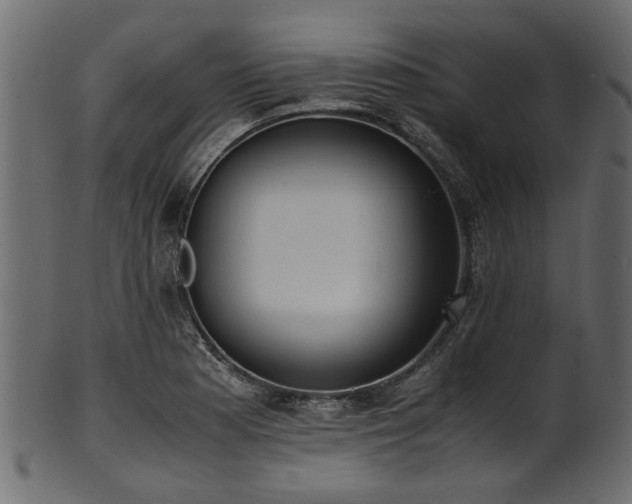 X0000102031177200807181343