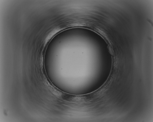 X0000102031179200807181343