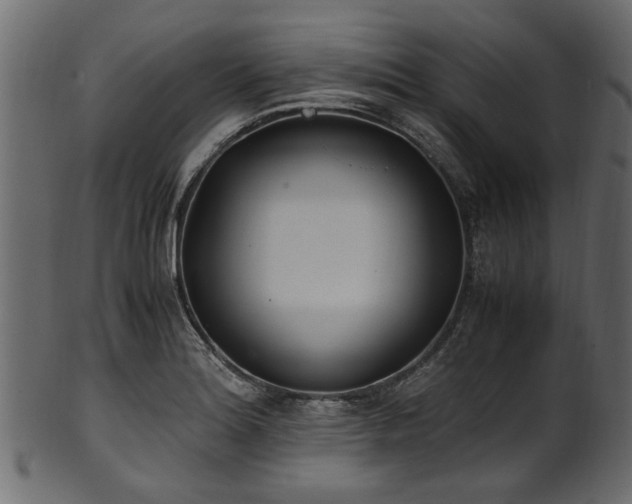 X0000102031180200807181343