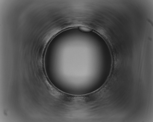 X0000102031181200807181343