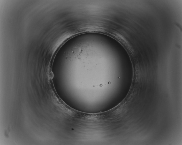 X0000102031182200807181343