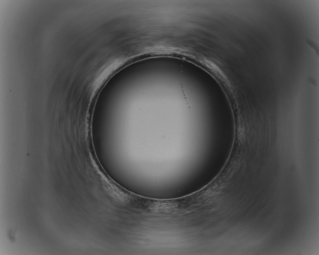 X0000102031183200807181343