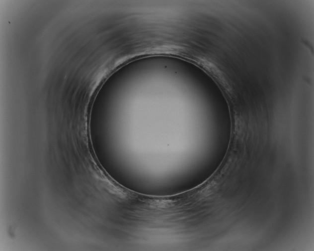 X0000102031184200807181343