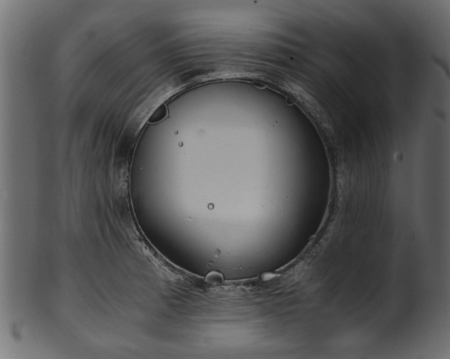 X0000102031185200807181343