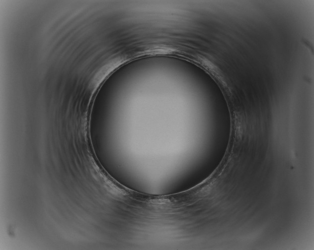 X0000102031186200807181343