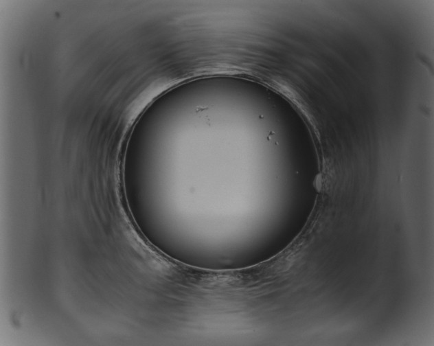 X0000102031187200807181343