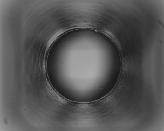 X0000102031188200807181343