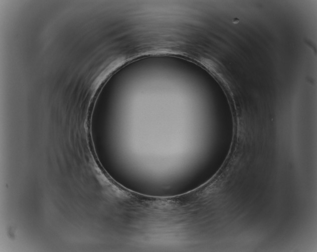 X0000102031189200807181343