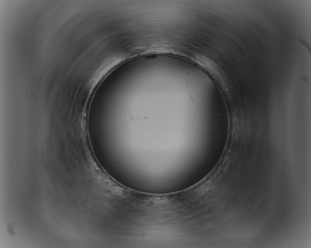 X0000102031190200807181343