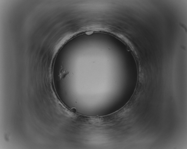 X0000102031191200807181343