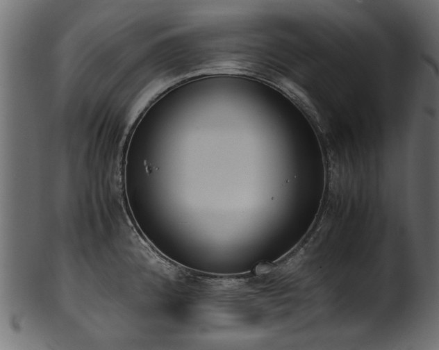 X0000102031192200807181343