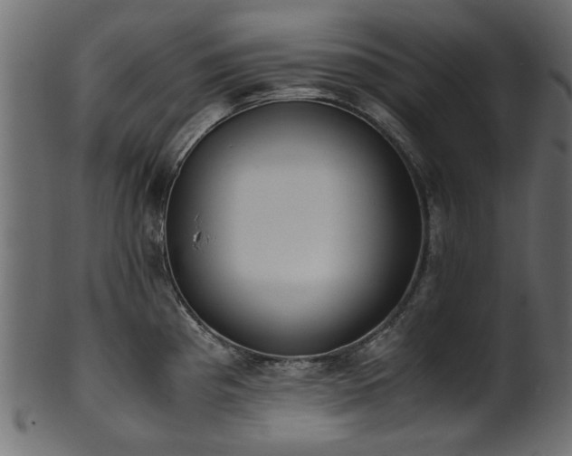 X0000102031193200807181342