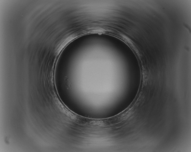 X0000102031194200807181342