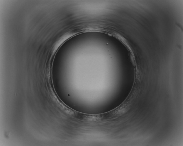 X0000102031195200807181342