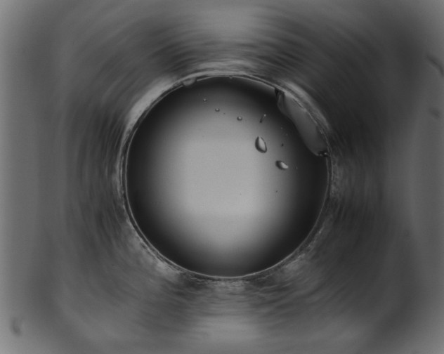 X0000102031196200807181342