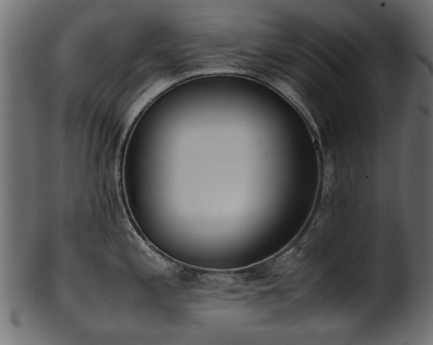 X0000102031197200807181342