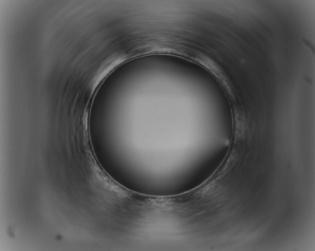 X0000102031198200807181342