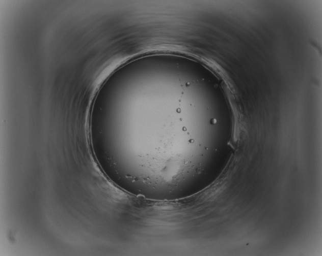 X0000102031199200807181342