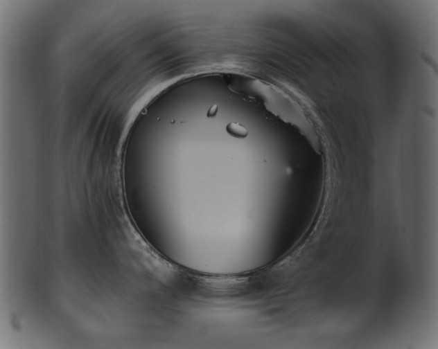 X0000102031200200807181342