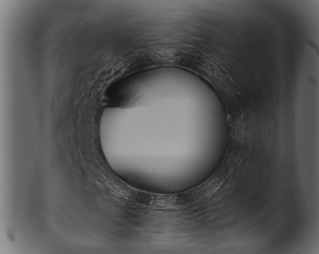 X0000102031201200807181342